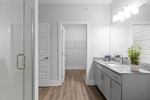 Two-Bedroom Apartments for Rent in-Chattanooga-TN-Model-Bathroom-with-View-to-Walk-In-Closet-Colchester